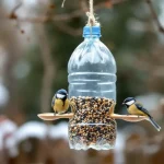 Voici comment une bouteille plastique devient une mangeoire parfaite pour les oiseaux